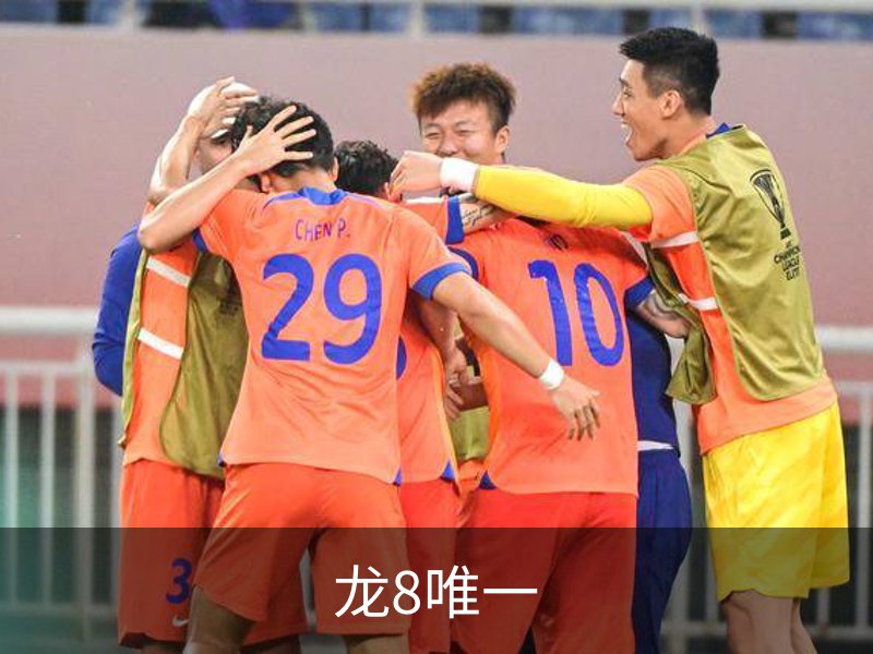 关于龙8唯一